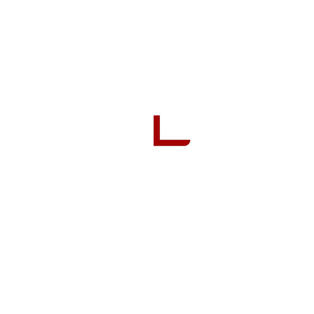 Carlink Logo